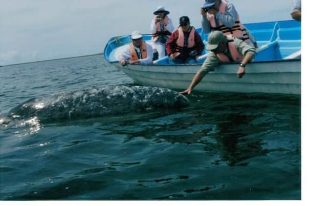 FB_IMG_1469837074818