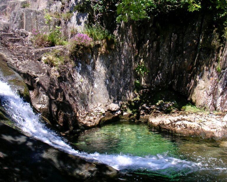 HAPPY MOTHER’S DAY