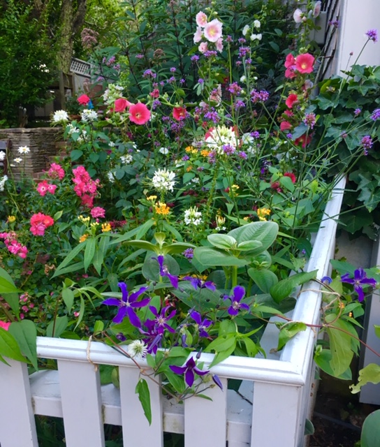 Where Did Summer Go?